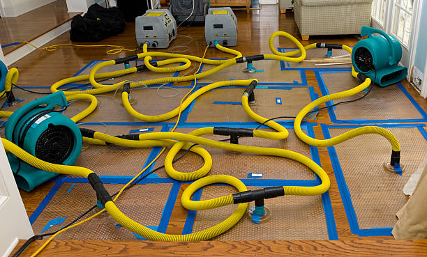 Professional Sewage Cleanup technician working in Ardmore, AL